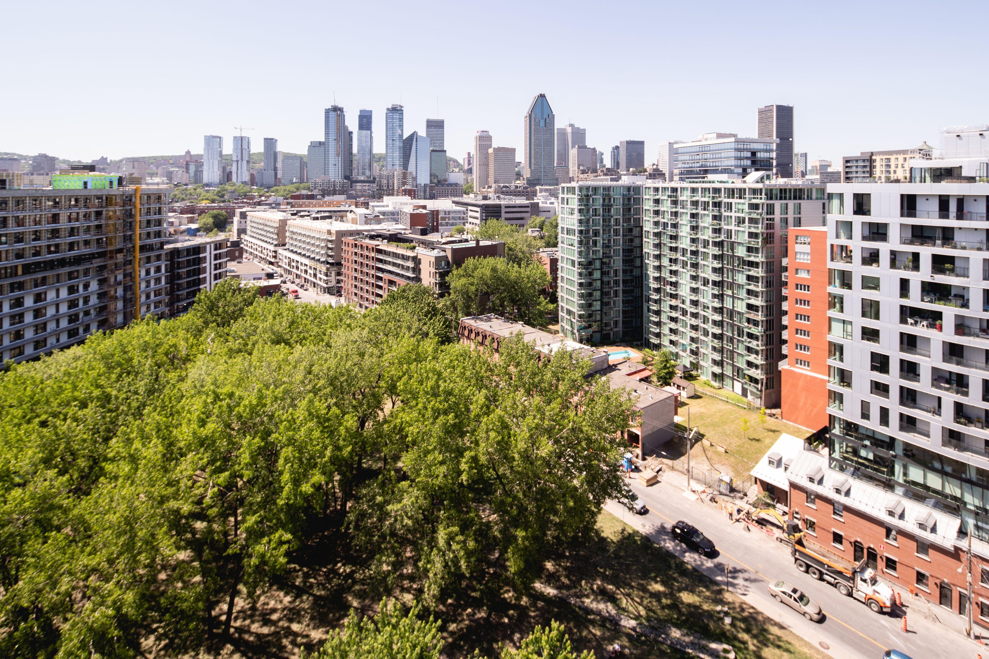 Griffintown Hotel — Photos 3